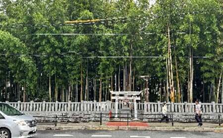 市川のまちを英語でまわる観光ツアー 【12203-0322】