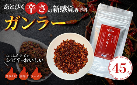 過門香　登録商標　ガンラー　香辛料（四川唐辛子使用）45g　【12203-0357】