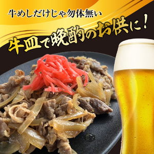 松屋の牛丼 135g × 20袋 レトルト 松屋 牛丼 牛肉 個包装 冷凍 牛丼の具 レトルト 防災 コラボ 牛めし 135g 20袋 冷凍食品 新生活  夜食 丼 便利 湯煎  電子レンジ 惣菜 おかず レンチ 長期保存