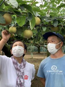 【焼き菓子セット】Le Cafe de Pommeコンフィチュール＆焼き菓子セット　コンフィチュール　梨っ娘　柚子　マーマレード　パウンドケーキ　手作り　フレンチシェフ　船橋　Le Cafe de Pomme