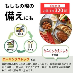 常温保存チキンハンバーグ 20袋