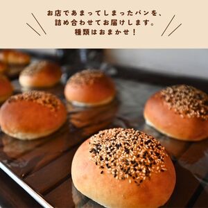 訳あり おまかせパンセット （12個入り）