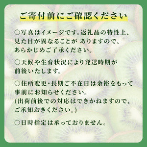 【1月後半発送分】船橋産キウイフルーツ5.2kg未追熟バラ詰め【傷み補償分約200g込み】