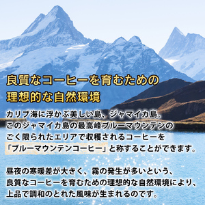 コーヒー ドリップコーヒー ブルーマウンテン ドトール DOUTOR ドリップ パック容量 18袋 1箱 珈琲 オフィス キャンプ アウトドア カフェ ギフト 手軽 ブルーマウンテンブレンド