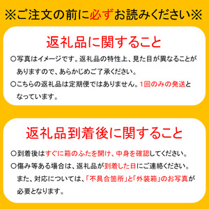 【有機栽培】キウイフルーツ・5kg（大玉のみ）・やまちょう園（1/16～2/15 発送分） 国産 キウイ キウイフルーツ ビタミンC 果物 フルーツ ※お届け日指定不可 (E15)