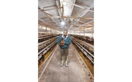 生で食べて美味しい　幸せの青いたまご　アロウカナ　30個セット　奈良養鶏園　農場HACCP認証　船橋産　希少　卵　玉子　鶏卵　たまごかけご飯　TKG