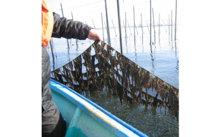 【訳あり・こだわり】江戸前 石焼のり 三番瀬産(G25)