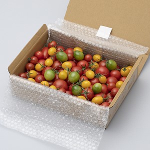 三須トマト農園　宝石箱セット（F21）