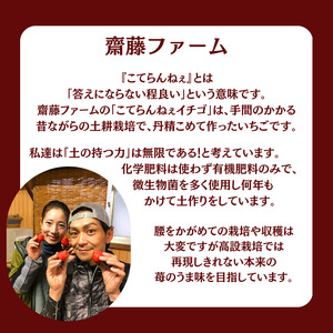 【期間限定】こてらんねぇイチゴ 24～36粒(約1kg・やよい姫)(F025-2)