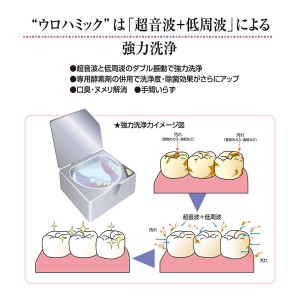 携帯入れ歯洗浄器 ウロハミック(レッド)（L153） | 千葉県船橋市