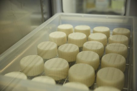 皆川牧場チーズ４種セット（モッツァレッラ・リコッタ・カチョッタ・スカモルツァ）