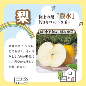 船橋産フルーツ定期便（5品目）　梨 豊水 パッションフルーツ シャインマスカット キウイ イチゴ エコチョク