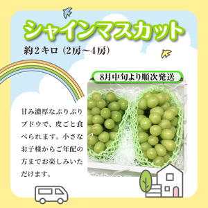 船橋産フルーツ定期便（5品目）　梨 豊水 パッションフルーツ シャインマスカット キウイ イチゴ エコチョク