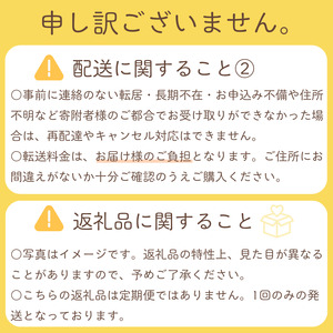 【2026年産先行予約】<家庭用>果汁たっぷりの極上梨「豊水・3kg」6~9玉 千葉県 船橋市産