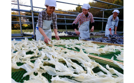 フカヒレ煮込(オイスター味)140g×3袋_ふかひれ フカヒレ 鱶鰭 高級 中華 高級中華 中華料理_【配送不可地域：離島】【1296380】