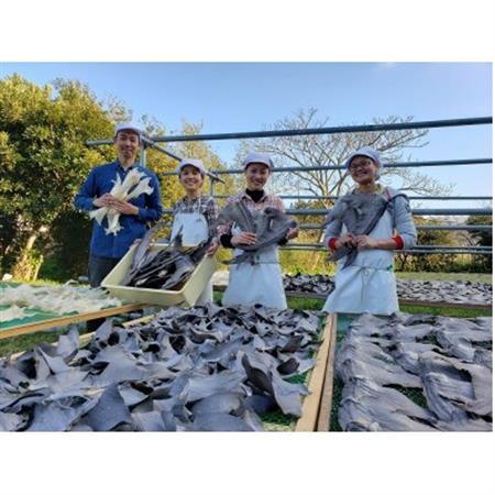 【エコ包装】「フカヒレ姿煮」大尾びれ2枚入り(530g×2枚)　尾びれ重さ約201-240g_フカヒレ 姿煮 高級 エコ包装_【配送不可地域：離島】【1493458】