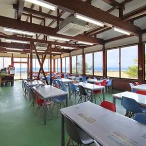 【漁港食堂だいぼ】「伊勢海老ステーキと定置網丼」ペアお食事券【1487497】