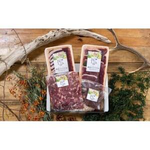 館山ジビエ 満足セット 猪肉 計1kg(4種)【配送不可地域：離島】【1486491】