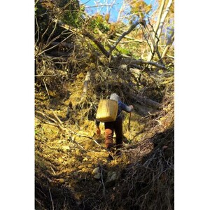 あわ焼　コーヒーカップ　2客セット【1486722】