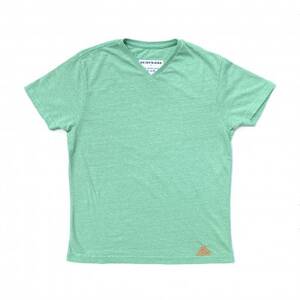 「SKINFRIEND EVERYDAY」V首半袖Tシャツ　男女兼用Sサイズ/グリーン【1495397】