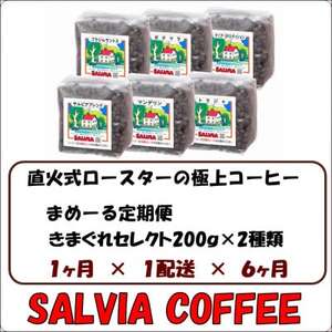 【毎月定期便】まめーる店主のきまぐれセレクト200g×2袋【粉】全6回【4053868】