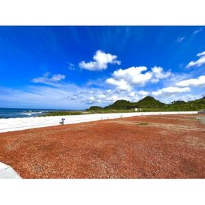 キャンプマナビス宿泊ギフト券15,000円【1584817】