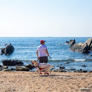 【宿泊6000円クーポン券】 DOG DEPT RESORT 館山犬石/安房白浜 共通チケット【1645888】