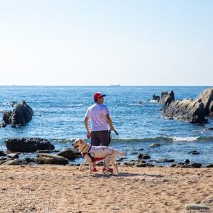 【宿泊12000円クーポン券】 DOG DEPT RESORT 館山犬石/安房白浜 共通チケット【1645912】