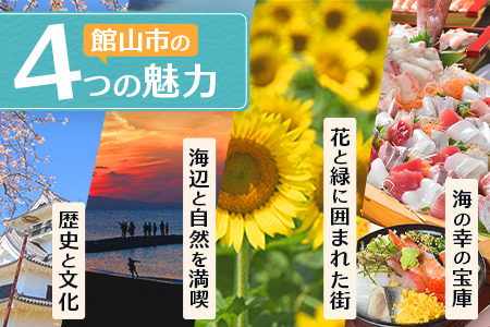 エンジョイ館山観光券 30,000円分【1659481】