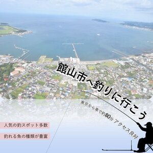ブルーブルールアーBlooowin!140S菜の花キャンディふるさと納税限定カラー【1668708】