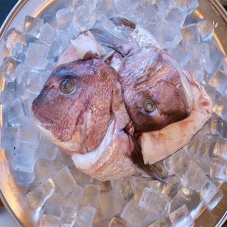 真鯛かぶと ハーフカット 2尾分×2パック 計2kg【配送不可地域:離島】【1665271】
