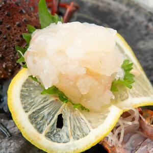 【先行予約】【金曜日発送】漁師直送!千葉県館山産 天然『活』伊勢海老2kg(サイズお任せ)【配送不可地域：離島・北海道・沖縄県・中国・四国・九州】【1676095】