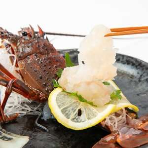 【先行予約】【金曜日発送】漁師直送!千葉県館山産 天然『活』伊勢海老2kg(サイズお任せ)【配送不可地域：離島・北海道・沖縄県・中国・四国・九州】【1676095】