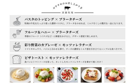 モッツァレラチーズ1個＆ブラータチーズ1個セット【配送不可地域：離島・沖縄県】【1704140】