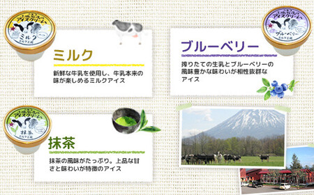 ニセコ高橋牧場ミルク工房　カップアイス3種10個入りセット【0311401】
