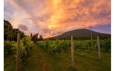 【北海道ニセコ町産】スペシャルキュベ2020（スパークリングワイン） ＜贈答用化粧木箱入り＞【10111】