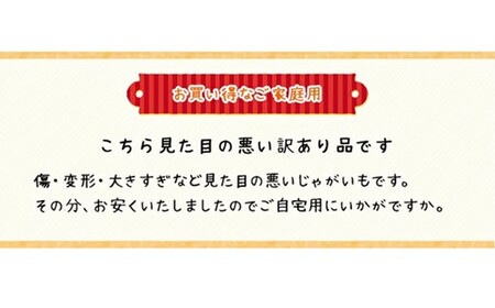 〈早期予約・数量限定〉北海道ニセコ町 訳ありじゃがいも北あかり10kg【2026年産】【3200902】