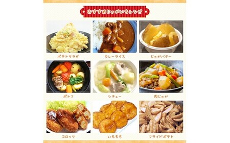 〈早期予約・数量限定〉北海道ニセコ町 訳ありじゃがいも北あかり10kg【2026年産】【3200902】