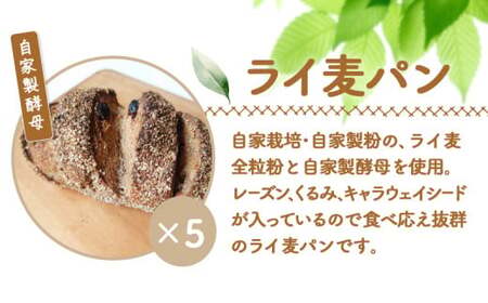 【ニセコ町】奥土農場のライ麦パン 5個セット（自家製酵母）【42007】