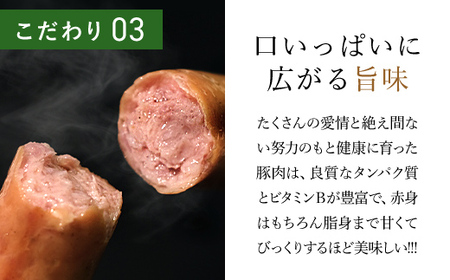 <木更津の恵みポーク>ウインナー約11本(約200g)×4パック KCB002