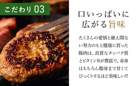 <木更津の恵みポーク>ハンバーグのたね500g×5 KCB005