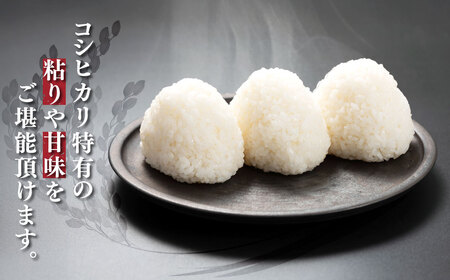 【数量限定】【厳選】【令和7年産 】千葉県産 上総の純粋米 コシヒカリ 5kg×2 KCV001 