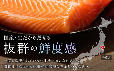 ＜メディア掲載多数＞国産 おかそだち生サーモントラウトフィレ1kg （250g×4P） (真空パック) 木更津産 KJ009 | サーモン 生サーモン 鮭 さけ サケ シャケ ふるさと納税 真空パック 真空 生サーモントラウトフィレ トラウトフィレ 養殖 骨取 骨取り ほねとり