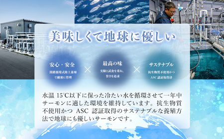 ＜メディア掲載多数＞国産 おかそだち生サーモントラウトフィレ1kg （250g×4P） (真空パック) 木更津産 KJ009 | サーモン 生サーモン 鮭 さけ サケ シャケ ふるさと納税 真空パック 真空 生サーモントラウトフィレ トラウトフィレ 養殖 骨取 骨取り ほねとり