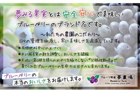 ＜有機栽培ブルーベリー使用＞夢みる果実ブルーベリージュース（果汁40％）500ml×2本