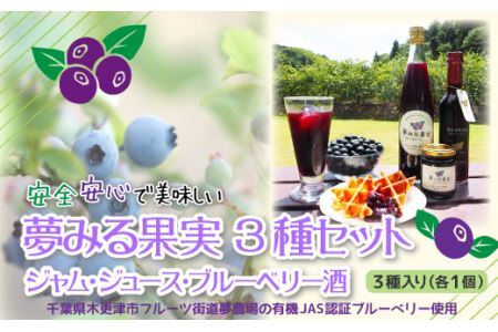 ＜有機栽培ブルーベリー使用＞夢みる果実ブルーベリー　加工品３種セット