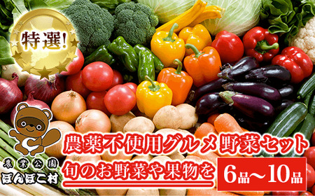 特選！農薬不使用グルメ野菜セット【旬のお野菜や果物を６品～10品】＜農業公園ぽんぽこ村＞