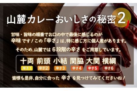 また食べたくなるカレー！＜木更津山麓カレー＞十両・前頭・小結・特製玉ねぎドレッシングセット