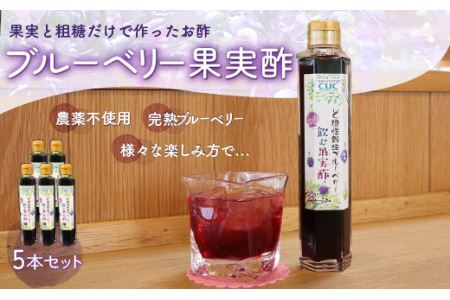 ＜果実と粗糖だけで作ったお酢＞飲むブルーベリー果実酢　5本セット