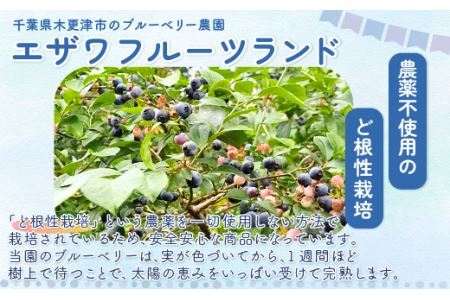 ＜果実と粗糖だけで作ったお酢＞飲むブルーベリー果実酢　5本セット